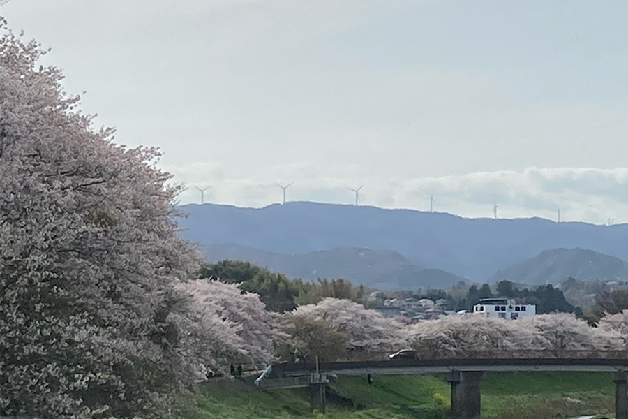 風力発電所（田人・三大明神・神楽山）